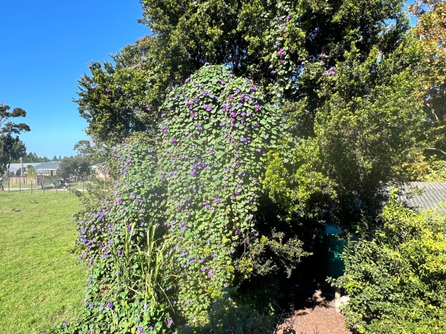 3 Bedroom Property for Sale in Storms River Village Eastern Cape